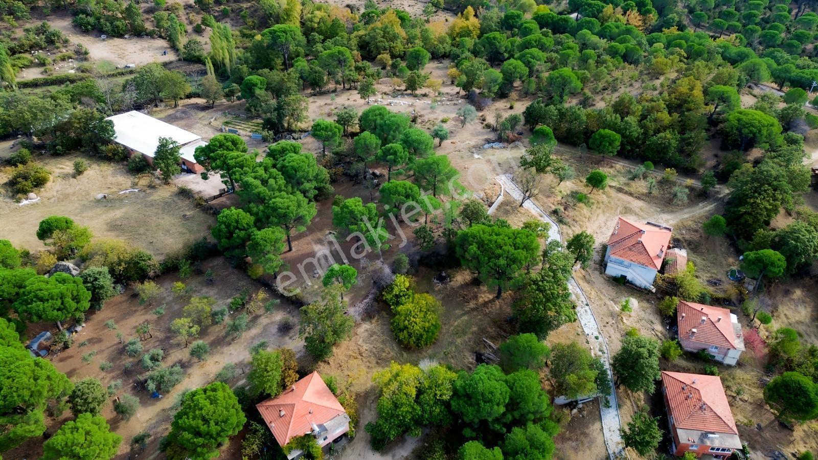 Bergama Kozak Karaveliler Mah.'de 2.434m2 Satılık Tarla — fotoğraf 6