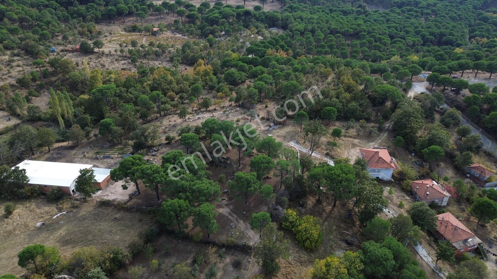 Bergama Kozak Karaveliler Mah.'de 2.434m2 Satılık Tarla — fotoğraf 7