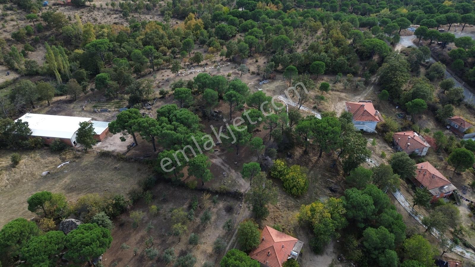 Bergama Kozak Karaveliler Mah.'de 2.434m2 Satılık Tarla — fotoğraf 9