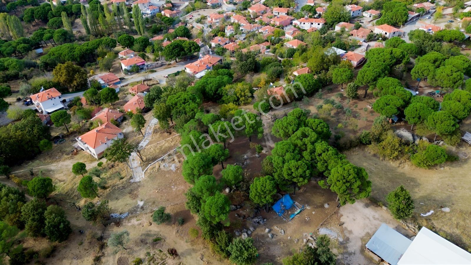 Bergama Kozak Karaveliler Mah.'de 2.434m2 Satılık Tarla — fotoğraf 10