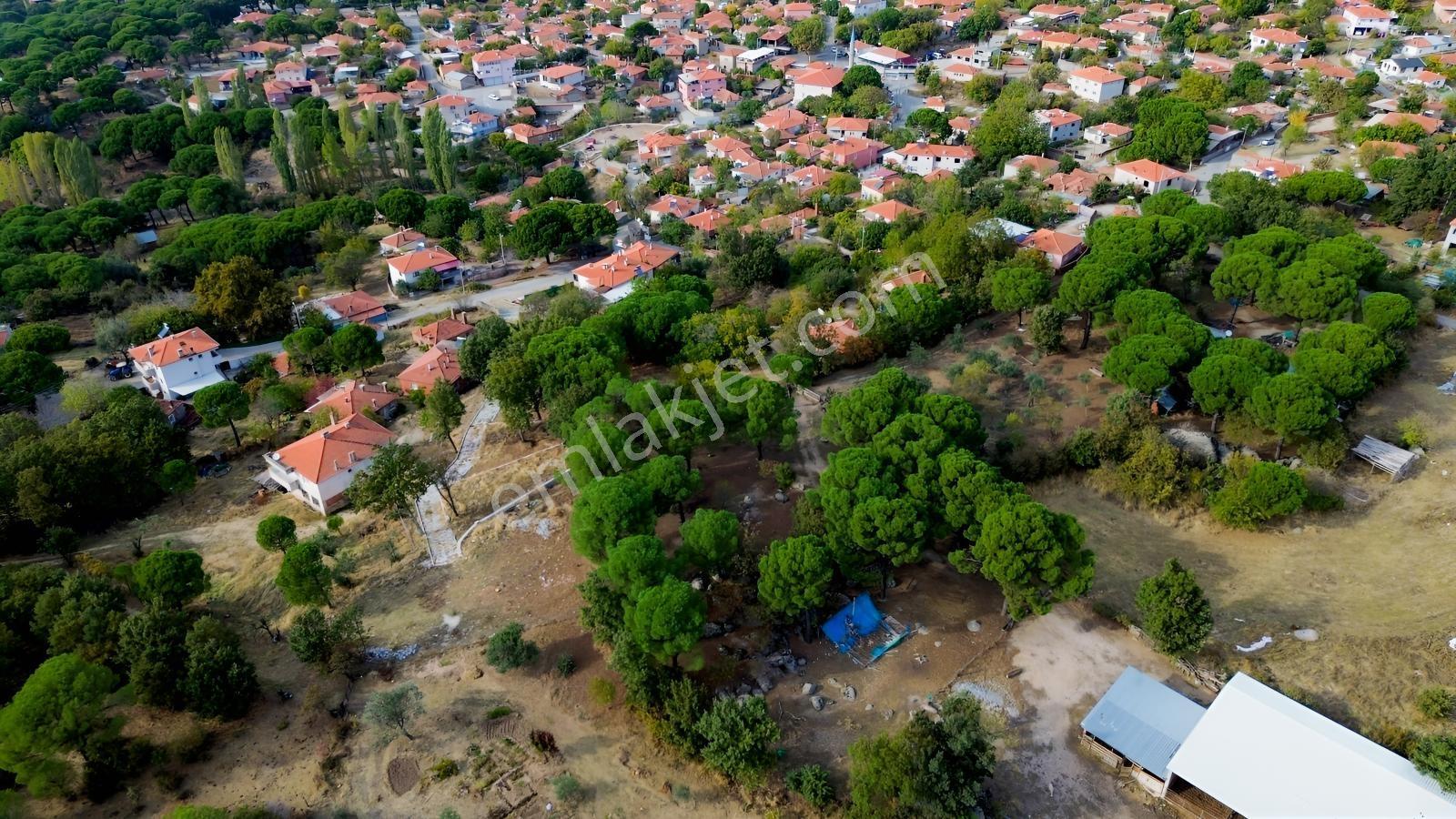 Bergama Kozak Karaveliler Mah.'de 2.434m2 Satılık Tarla — fotoğraf 11