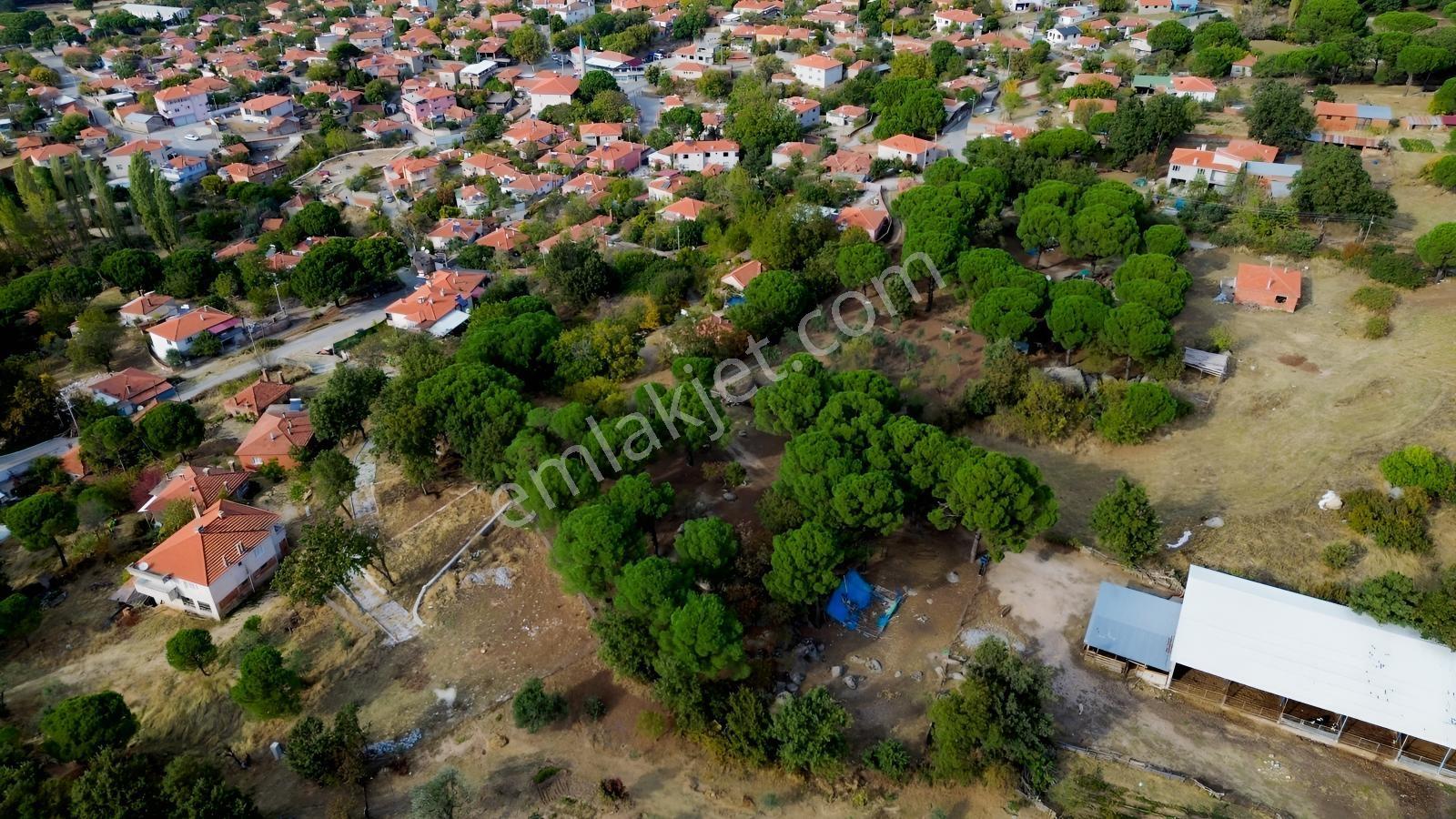 Bergama Kozak Karaveliler Mah.'de 2.434m2 Satılık Tarla — fotoğraf 15