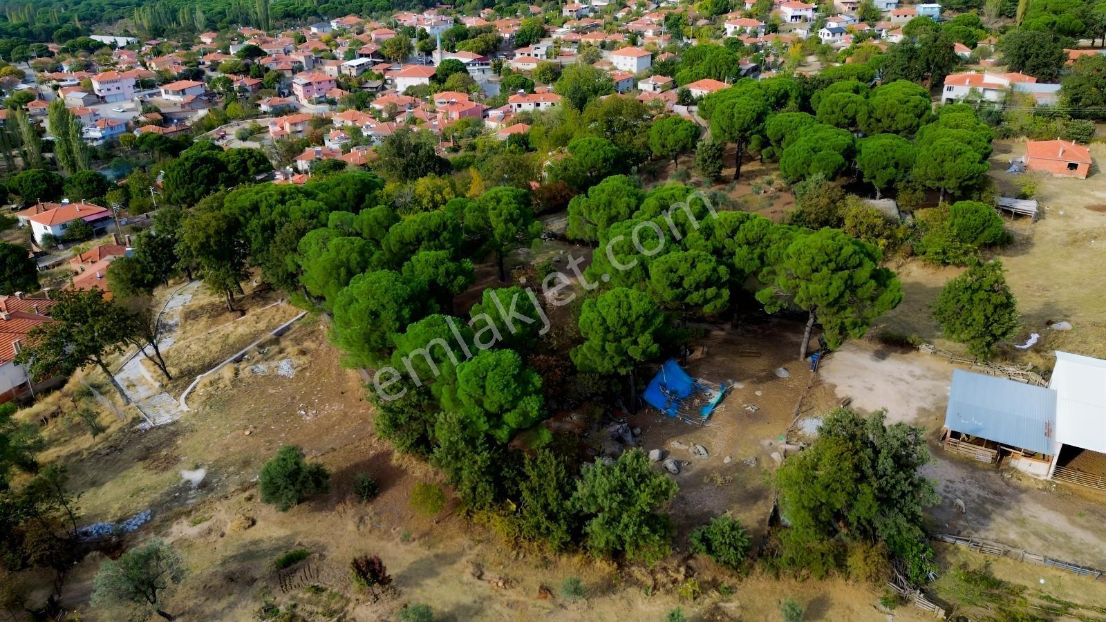 Bergama Kozak Karaveliler Mah.'de 2.434m2 Satılık Tarla — fotoğraf 18