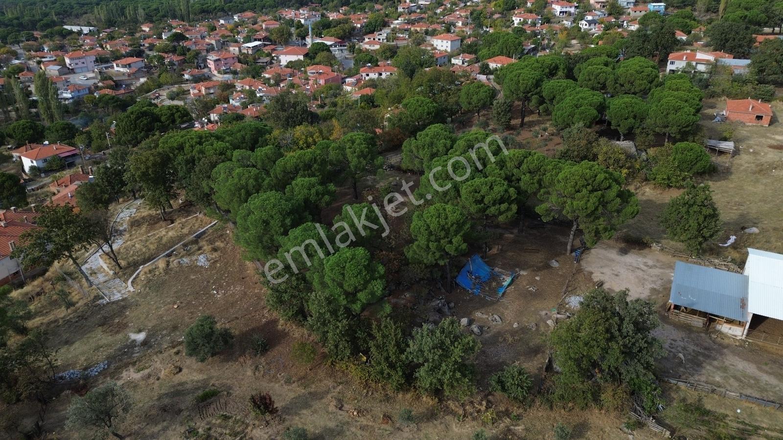 Bergama Kozak Karaveliler Mah.'de 2.434m2 Satılık Tarla — fotoğraf 19