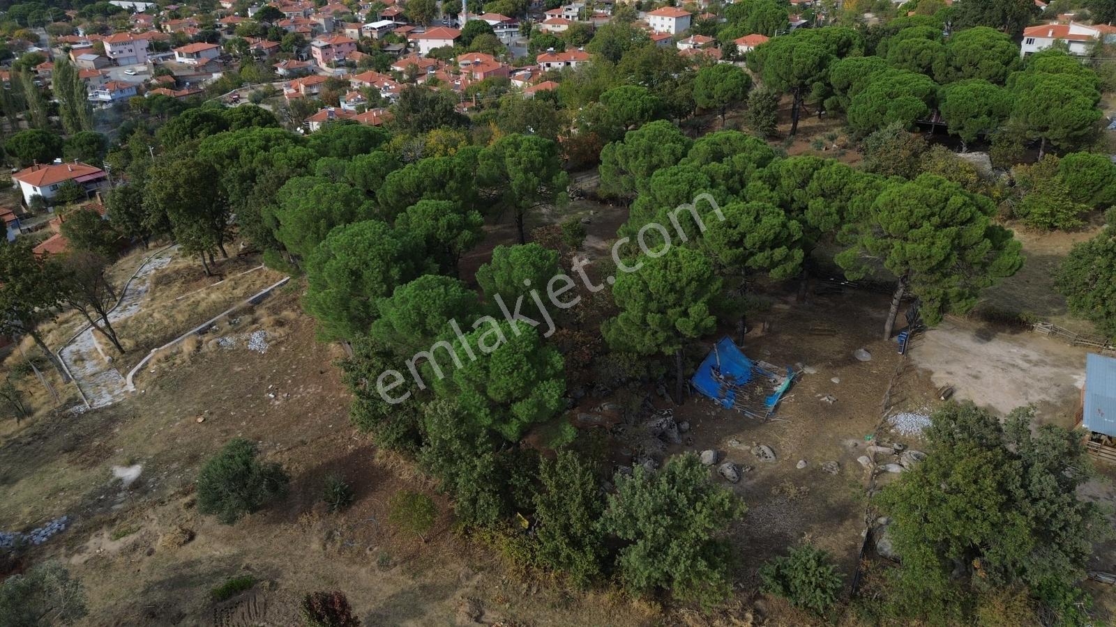 Bergama Kozak Karaveliler Mah.'de 2.434m2 Satılık Tarla — fotoğraf 22