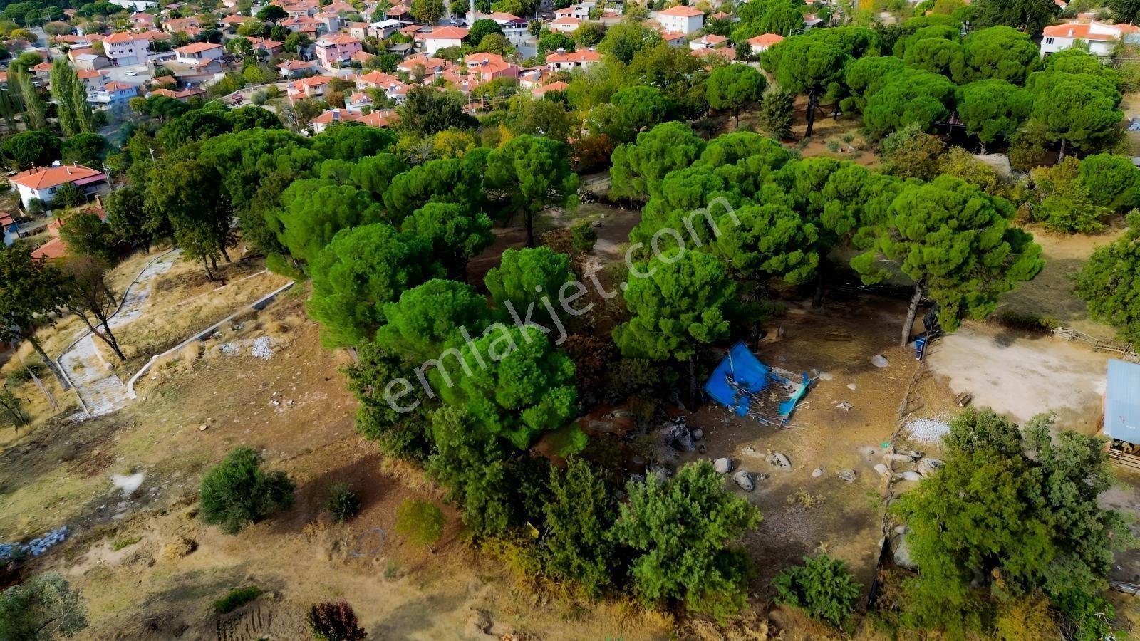 Bergama Kozak Karaveliler Mah.'de 2.434m2 Satılık Tarla — fotoğraf 23