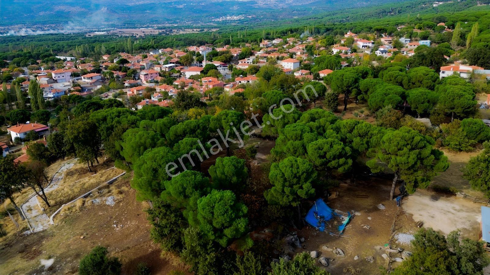 Bergama Kozak Karaveliler Mah.'de 2.434m2 Satılık Tarla — fotoğraf 24