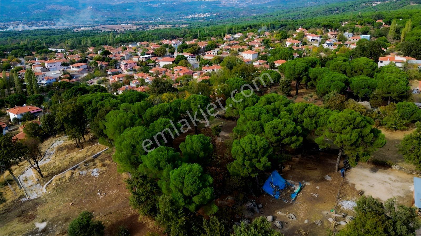 Bergama Kozak Karaveliler Mah.'de 2.434m2 Satılık Tarla — fotoğraf 25