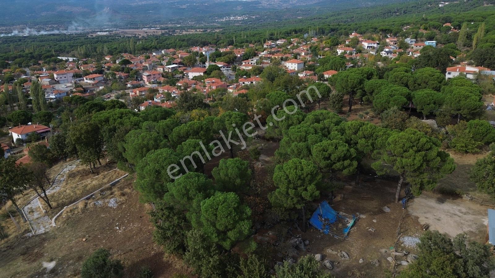 Bergama Kozak Karaveliler Mah.'de 2.434m2 Satılık Tarla — fotoğraf 26