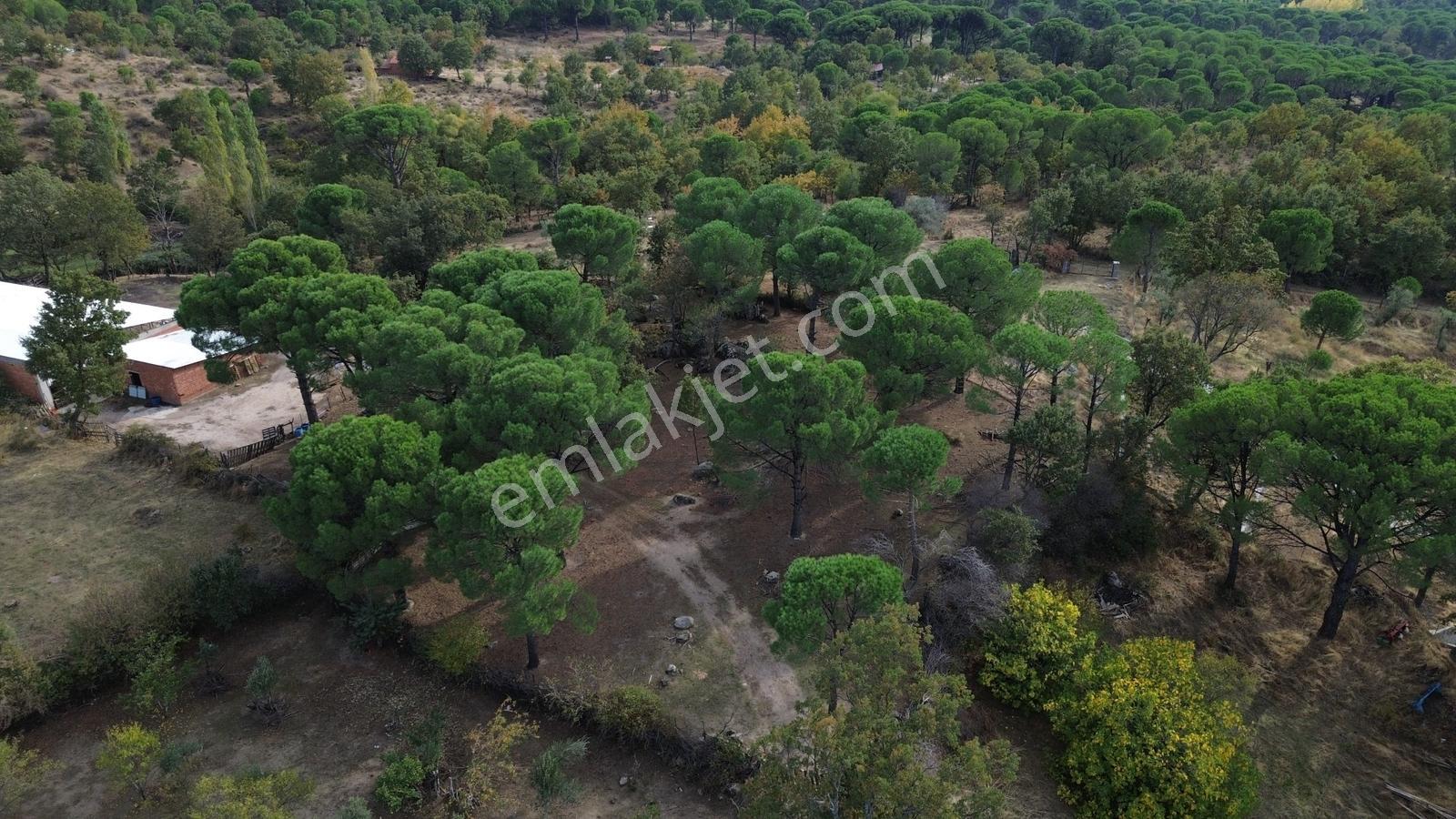 Bergama Kozak Karaveliler Mah.'de 2.434m2 Satılık Tarla — fotoğraf 27