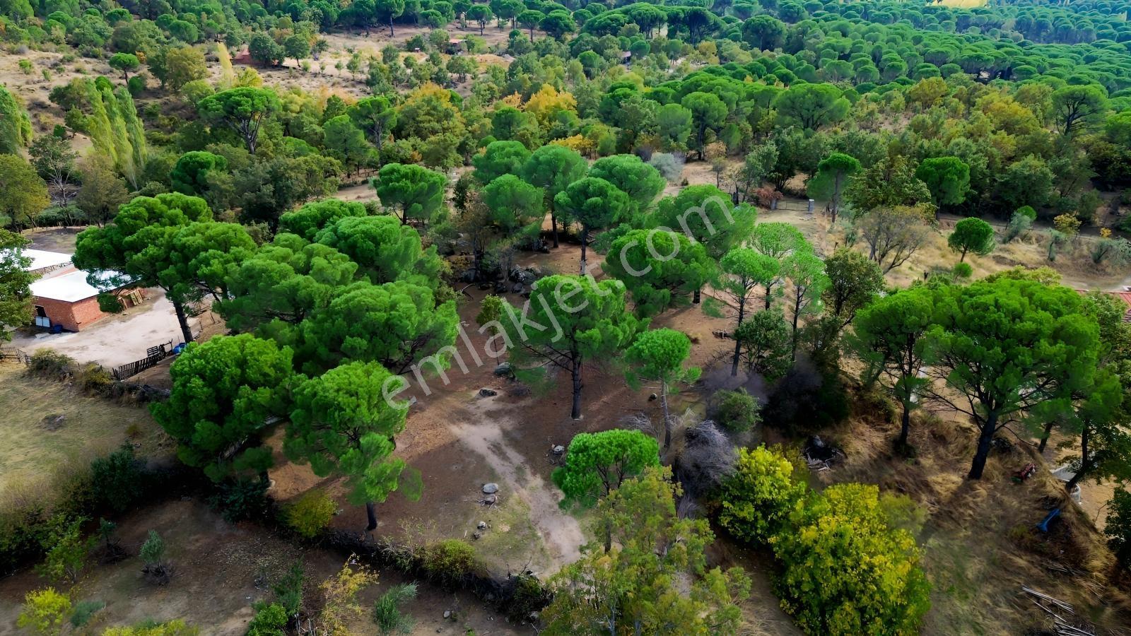 Bergama Kozak Karaveliler Mah.'de 2.434m2 Satılık Tarla — fotoğraf 28
