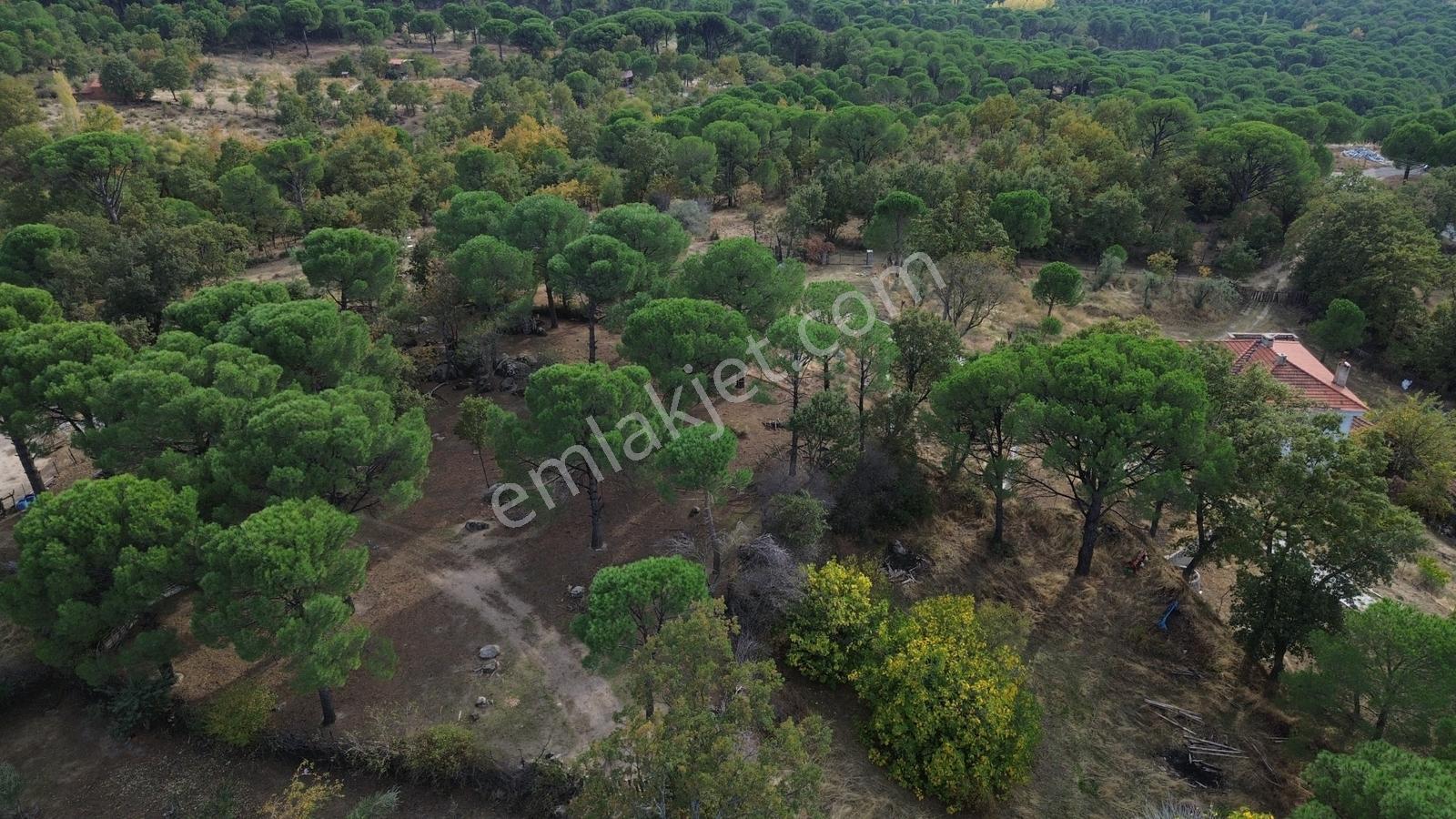 Bergama Kozak Karaveliler Mah.'de 2.434m2 Satılık Tarla — fotoğraf 29