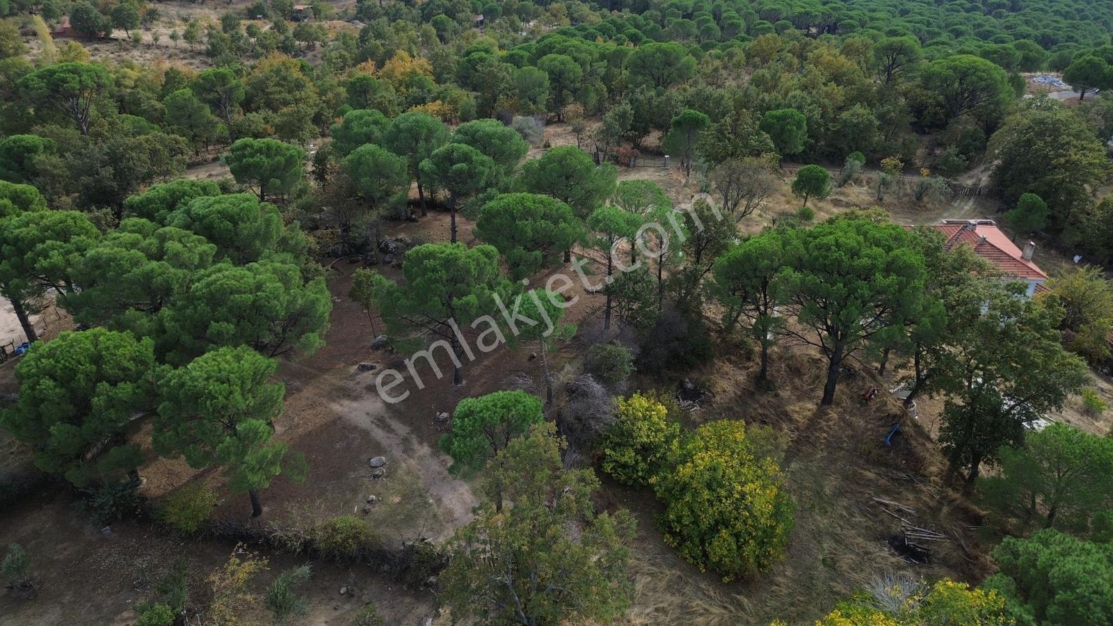 Bergama Kozak Karaveliler Mah.'de 2.434m2 Satılık Tarla — fotoğraf 30