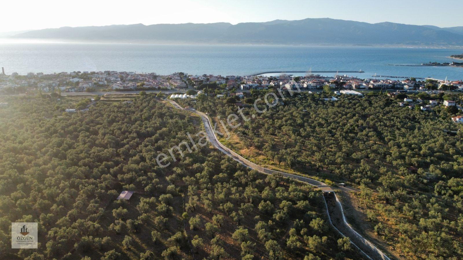 Özgünden Taylıeli Nde İskeleye Yakın 2832 M2 Yola Cepheli — fotoğraf 2