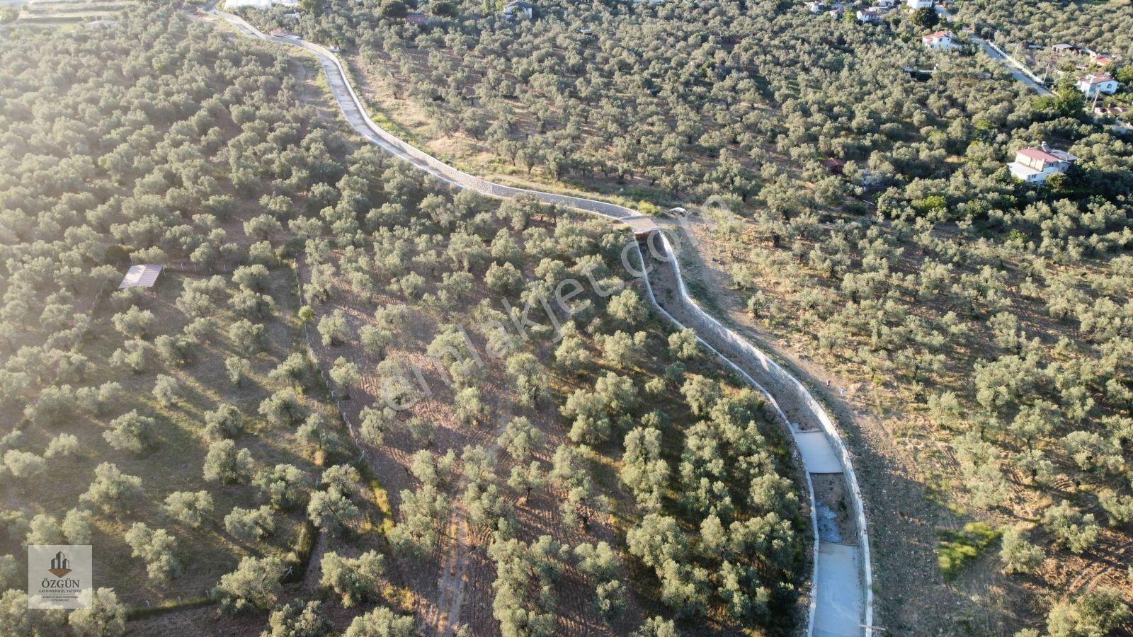 Özgünden Taylıeli Nde İskeleye Yakın 2832 M2 Yola Cepheli — fotoğraf 3
