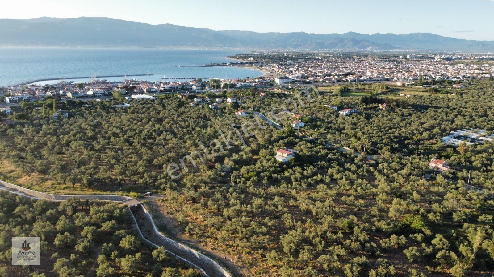 Özgünden Taylıeli Nde İskeleye Yakın 2832 M2 Yola Cepheli — fotoğraf 6