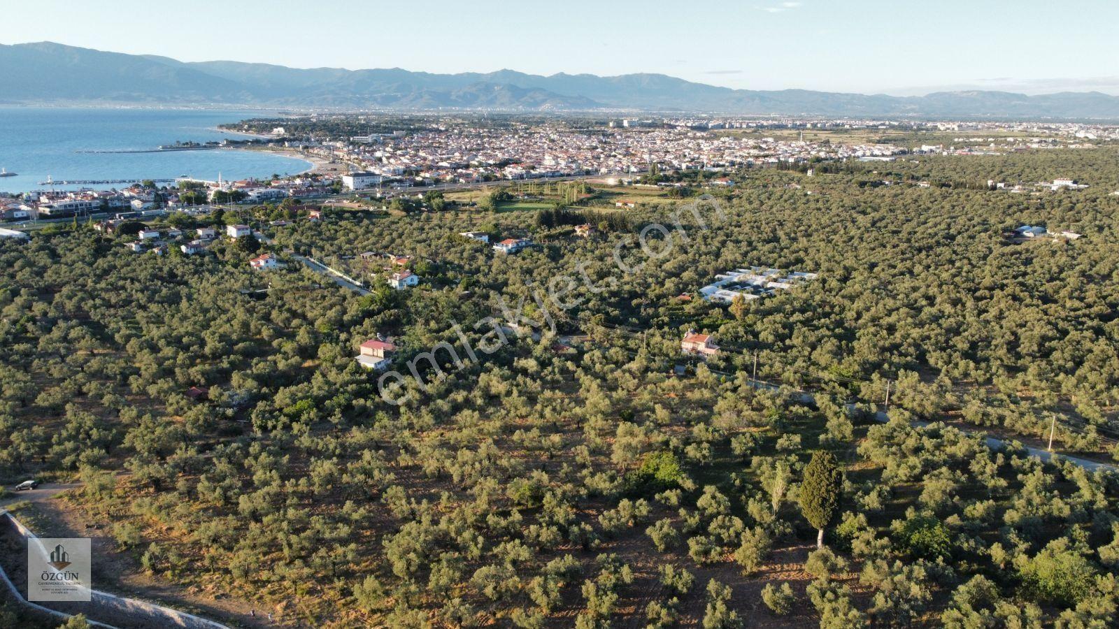 Özgünden Taylıeli Nde İskeleye Yakın 2832 M2 Yola Cepheli — fotoğraf 7