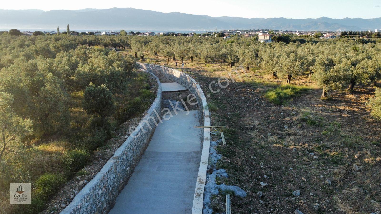 Özgünden Taylıeli Nde İskeleye Yakın 2832 M2 Yola Cepheli — fotoğraf 9