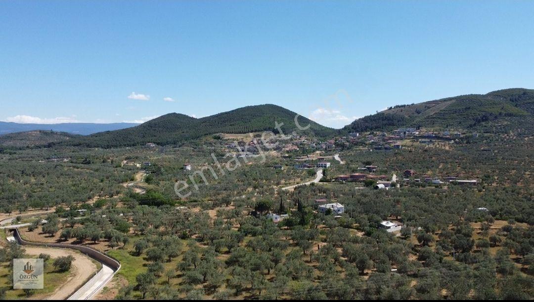 Özgünden Taylıeli Nde İskeleye Yakın 2832 M2 Yola Cepheli — fotoğraf 10