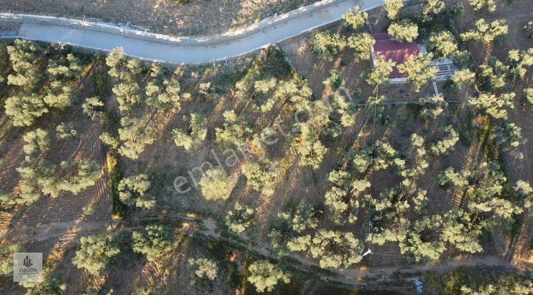 Özgünden Taylıeli Nde İskeleye Yakın 2832 M2 Yola Cepheli — fotoğraf 13