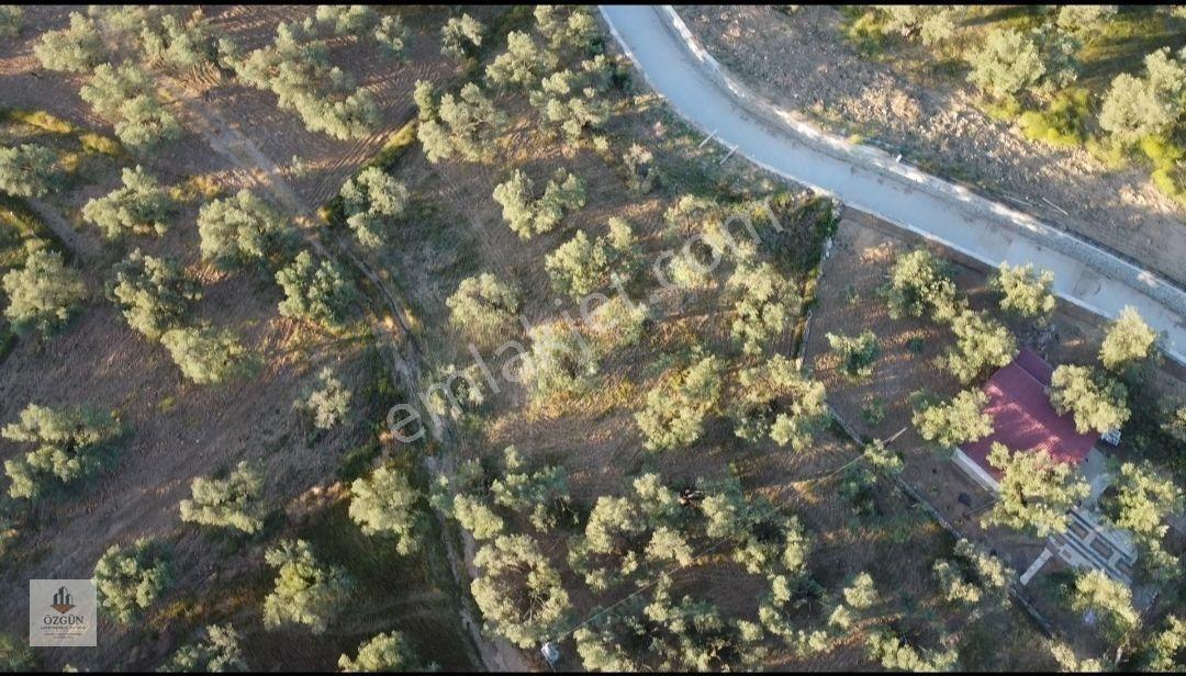 Özgünden Taylıeli Nde İskeleye Yakın 2832 M2 Yola Cepheli — fotoğraf 14