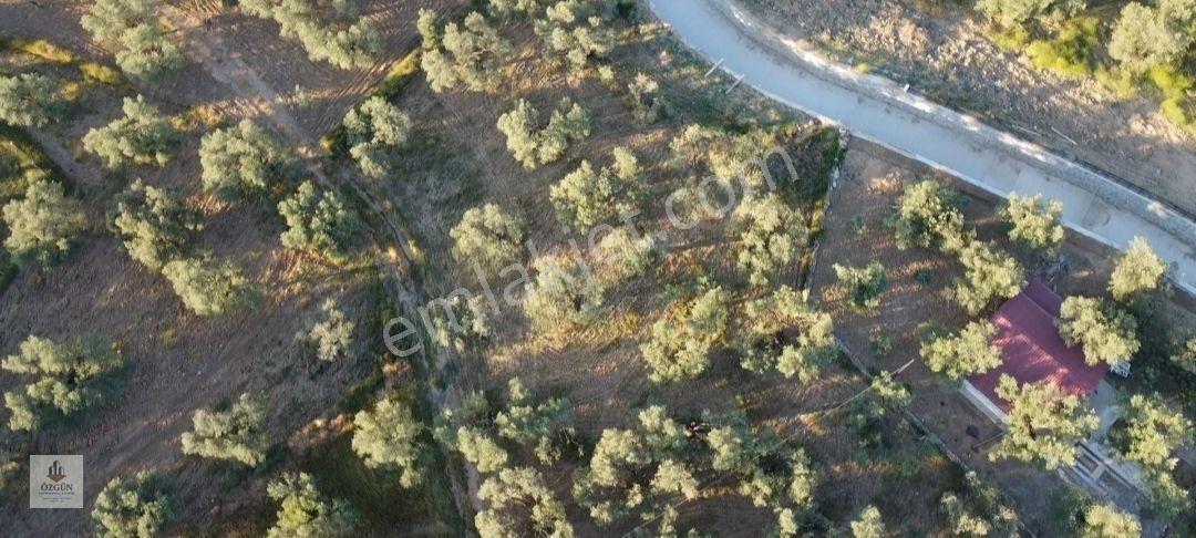 Özgünden Taylıeli Nde İskeleye Yakın 2832 M2 Yola Cepheli — fotoğraf 15