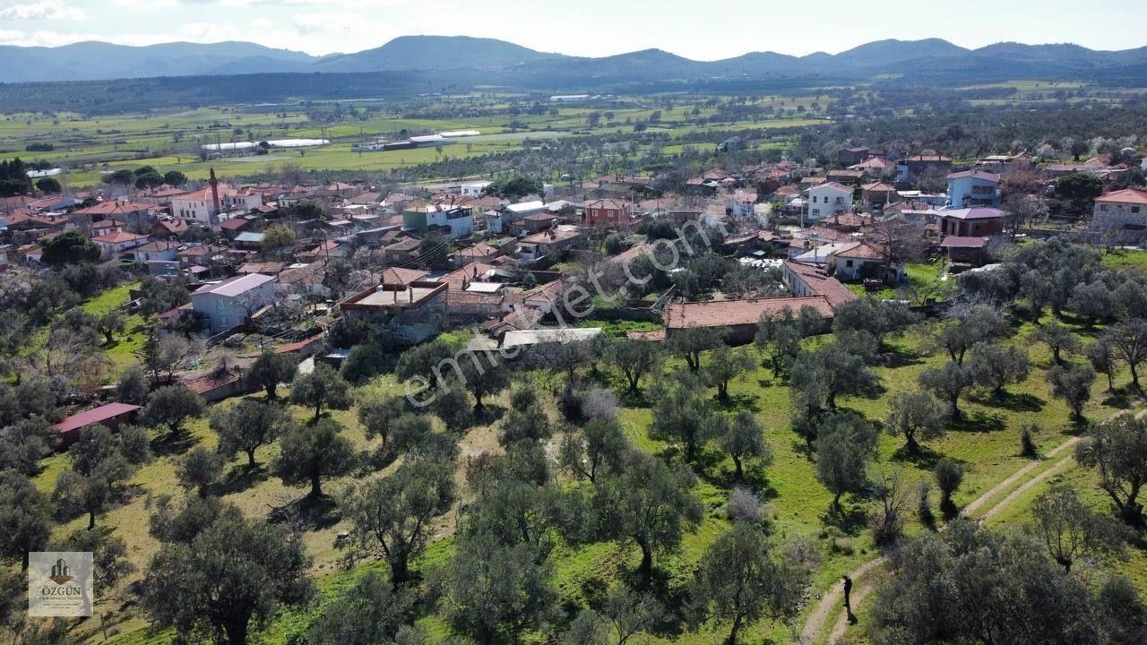 Şahinler Köy Kenarında,suya Ve Elektriğe Yakın 1616 M² Zeytinlik — fotoğraf 15