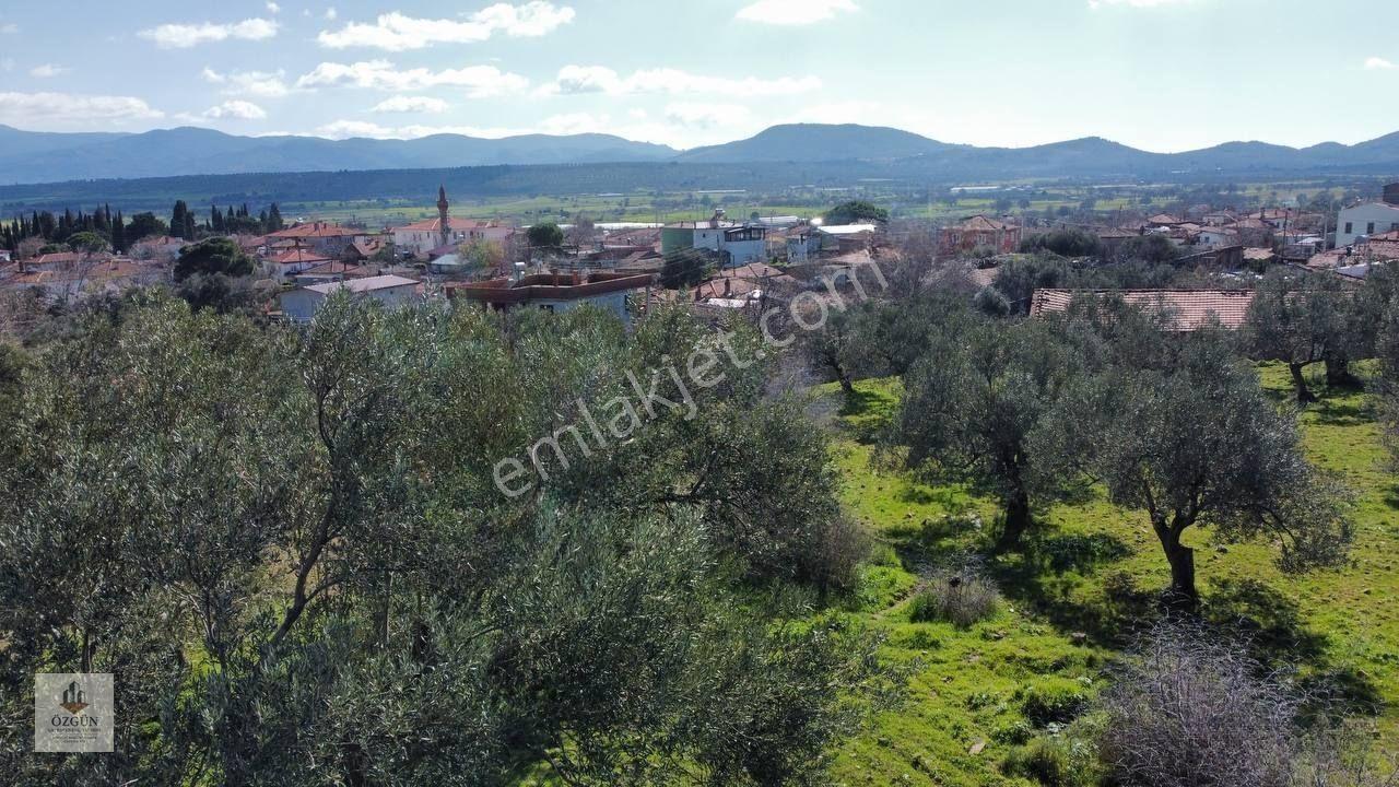 Şahinler Köy Kenarında,suya Ve Elektriğe Yakın 1616 M² Zeytinlik — fotoğraf 23