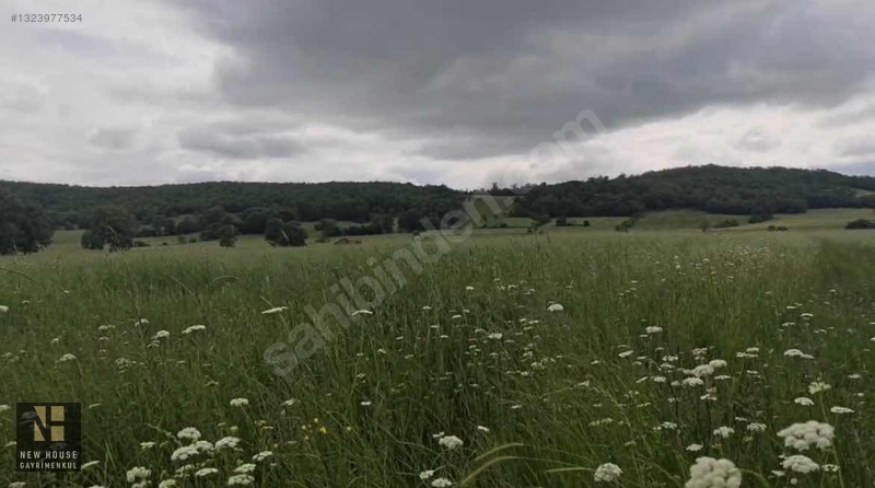 New House Gy'den Kavak Çivril Mahallesinde 2582 M2 Satılık Tarla — fotoğraf 4