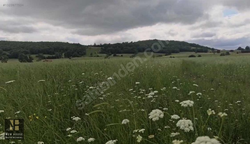 New House Gy'den Kavak Çivril Mahallesinde 2582 M2 Satılık Tarla — fotoğraf 5