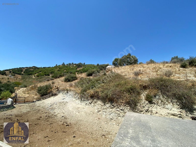 Aydın Söke'de Satılık 86.190 M² Zeytinlik Ve Tarla — fotoğraf 2
