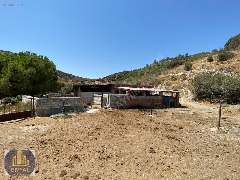 Aydın Söke'de Satılık 86.190 M² Zeytinlik Ve Tarla — fotoğraf 3