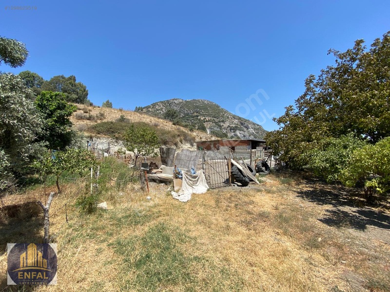 Aydın Söke'de Satılık 86.190 M² Zeytinlik Ve Tarla — fotoğraf 4