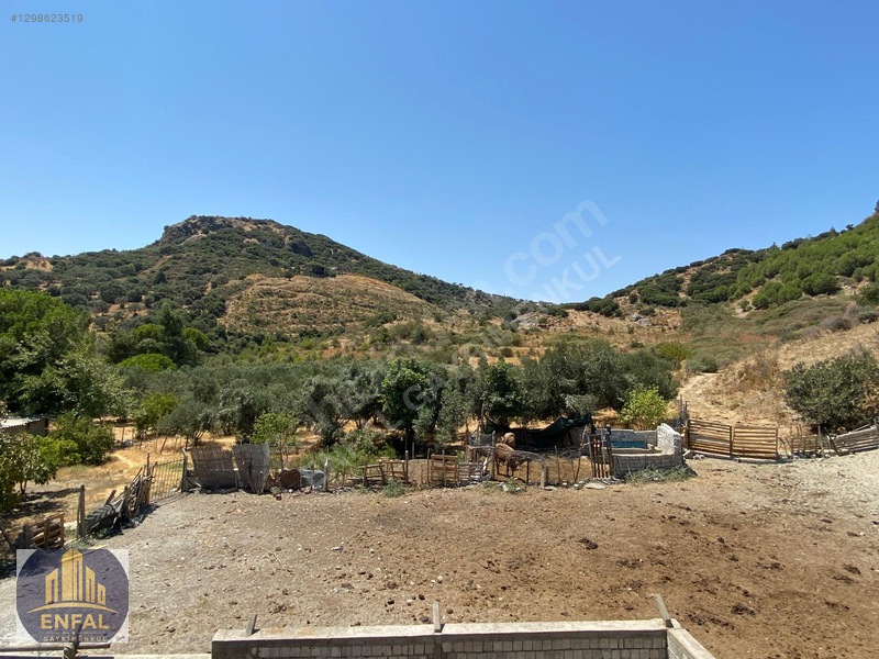 Aydın Söke'de Satılık 86.190 M² Zeytinlik Ve Tarla — fotoğraf 8