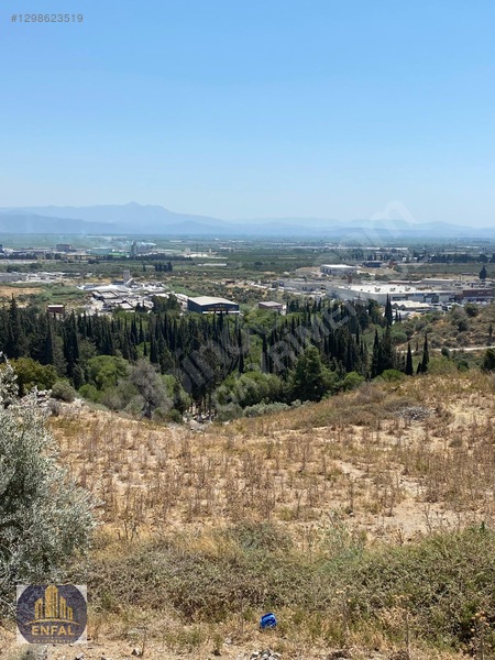 Aydın Söke'de Satılık 86.190 M² Zeytinlik Ve Tarla — fotoğraf 12