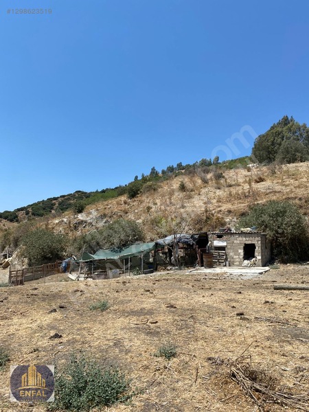 Aydın Söke'de Satılık 86.190 M² Zeytinlik Ve Tarla — fotoğraf 14