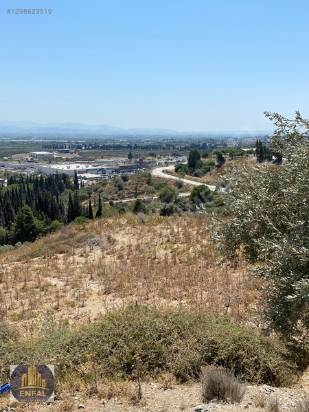 Aydın Söke'de Satılık 86.190 M² Zeytinlik Ve Tarla — fotoğraf 15