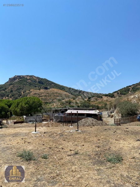 Aydın Söke'de Satılık 86.190 M² Zeytinlik Ve Tarla — fotoğraf 17