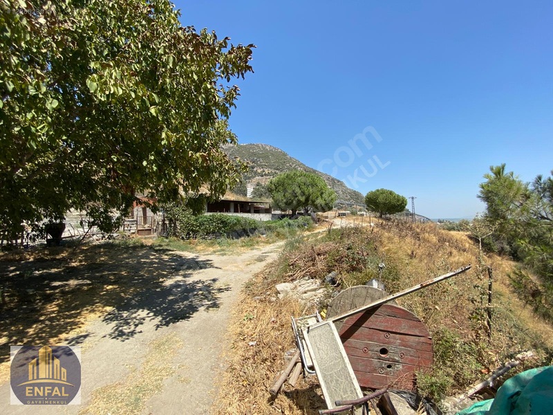 Aydın Söke'de Satılık 86.190 M² Zeytinlik Ve Tarla — fotoğraf 19