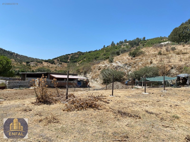 Aydın Söke'de Satılık 86.190 M² Zeytinlik Ve Tarla — fotoğraf 20