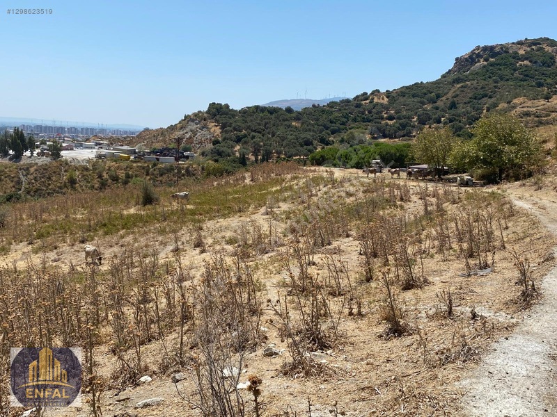 Aydın Söke'de Satılık 86.190 M² Zeytinlik Ve Tarla — fotoğraf 21