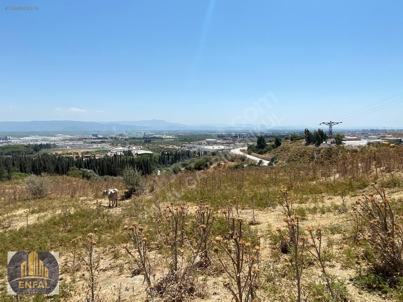 Aydın Söke'de Satılık 86.190 M² Zeytinlik Ve Tarla — fotoğraf 23