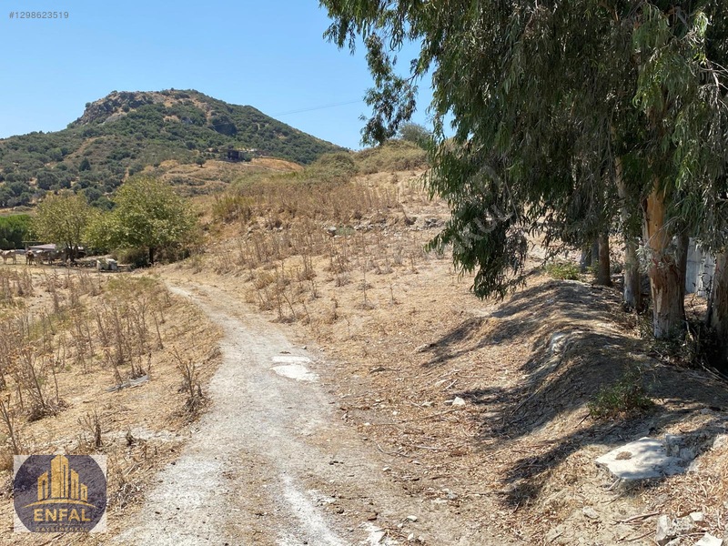 Aydın Söke'de Satılık 86.190 M² Zeytinlik Ve Tarla — fotoğraf 24