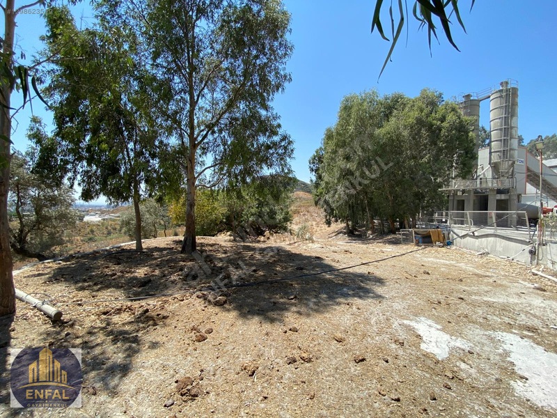 Aydın Söke'de Satılık 86.190 M² Zeytinlik Ve Tarla — fotoğraf 25