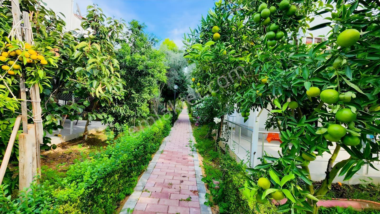 Çenger De Satılık Köşe 5+1 Villa — fotoğraf 27