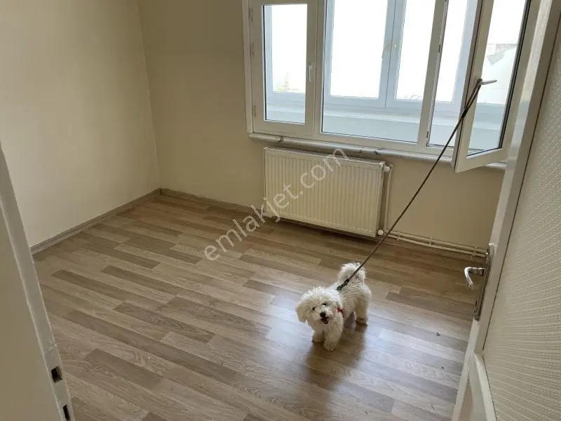 Sizlere Çok İyi Konumda,hem Yatırımlık,hem Oturumluk Cazip Fiyat — fotoğraf 8