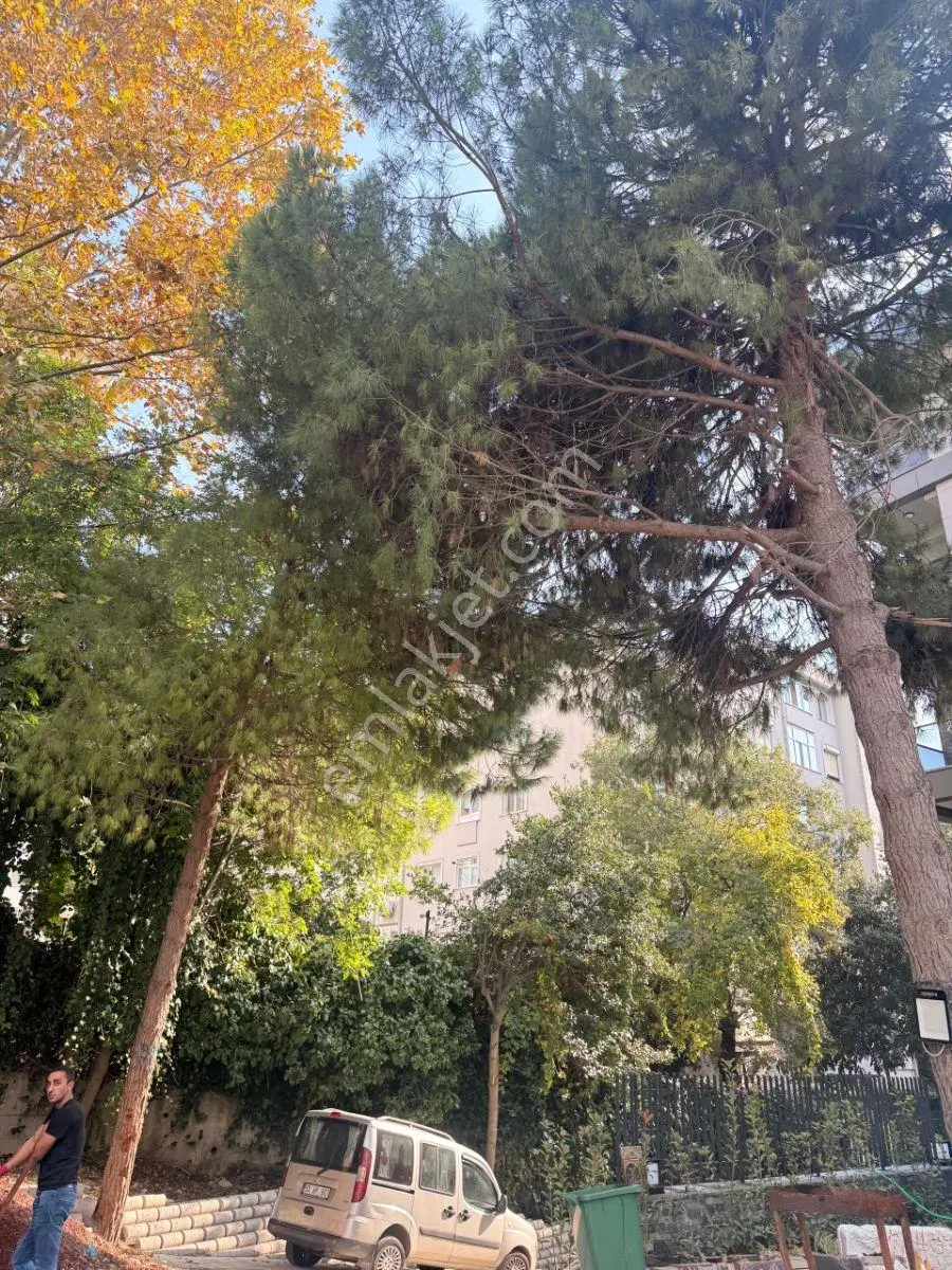 Century21 Den Altunizade Ay Konakların'da Satılık 3+2 Daire — fotoğraf 17