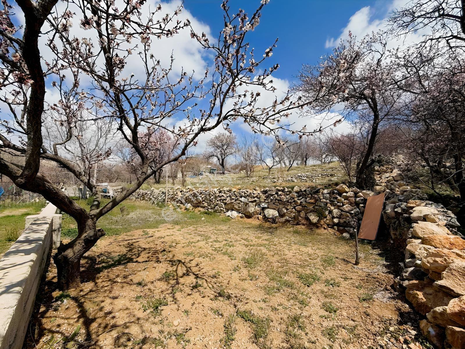 Saray Emlak'tan Satılık Gümüşler'de 1950 M2 Arsa İçinde Ahır Ev — fotoğraf 14