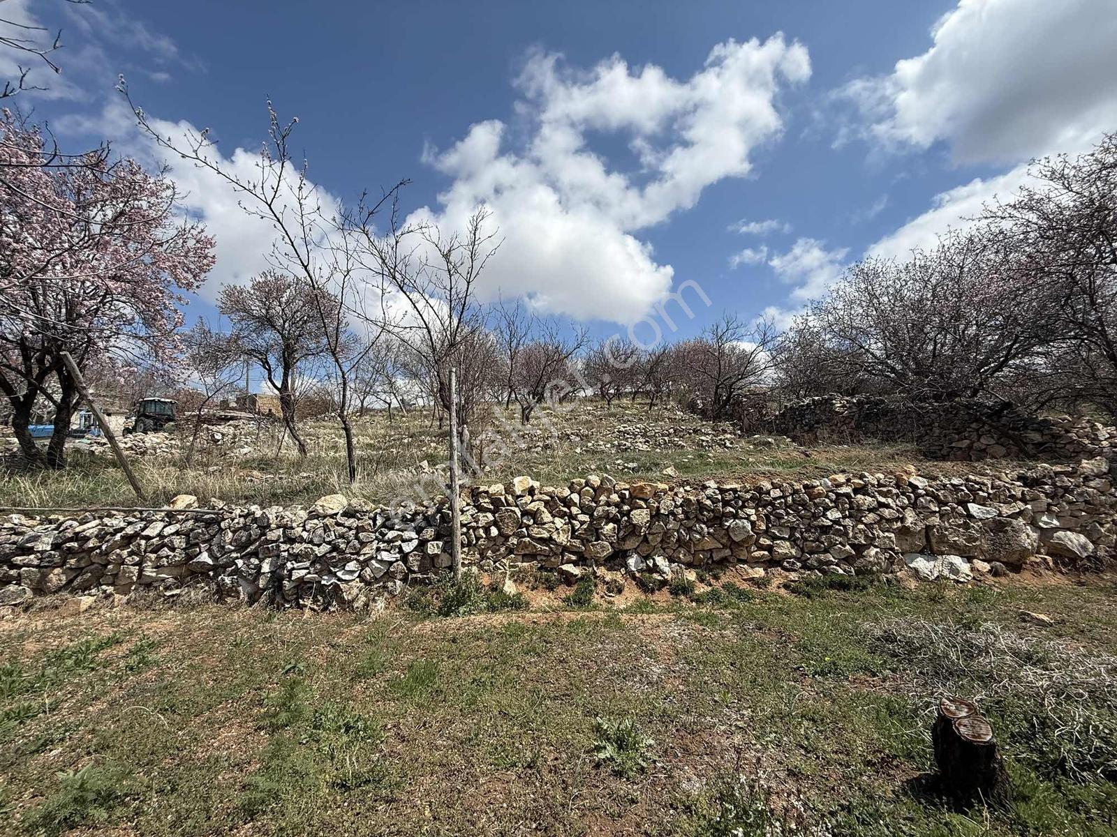 Saray Emlak'tan Satılık Gümüşler'de 1950 M2 Arsa İçinde Ahır Ev — fotoğraf 15