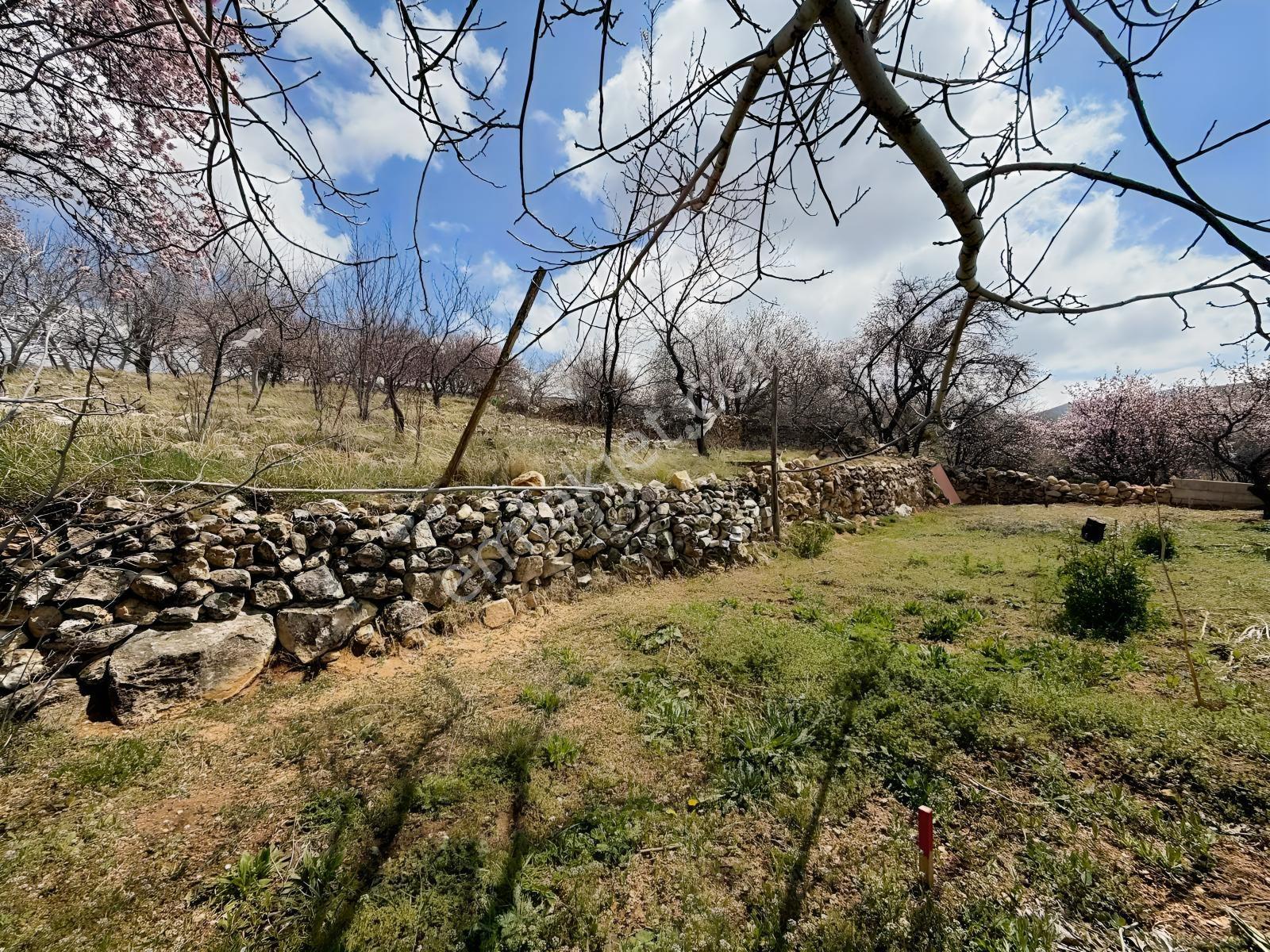 Saray Emlak'tan Satılık Gümüşler'de 1950 M2 Arsa İçinde Ahır Ev — fotoğraf 16